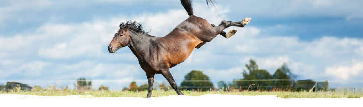 einstiegsbanner derby gewinnspiele und aktionen 920px mobil
